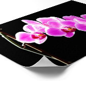 精巣家 ポスター (角)