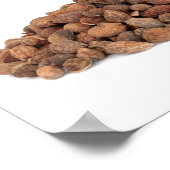 精巣香辛料とハーブはすべての家をリスト ポスター (角)