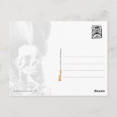 精巧な髪型の骨格女性 ポストカード (裏面)