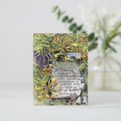 精神のフルーツ ポストカード (スタンド正面)