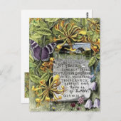 精神のフルーツ ポストカード (正面/裏面)