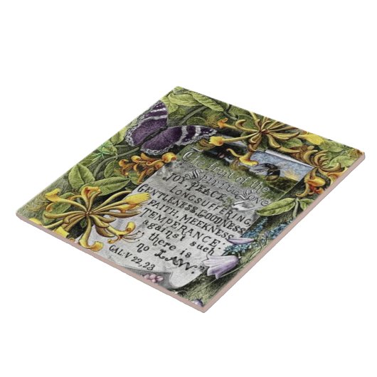 精神の実 タイル (側面)