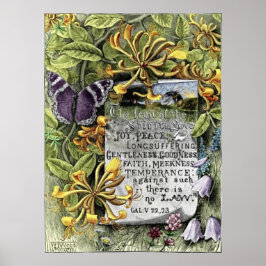 精神の実 ポスター