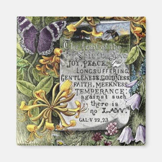 精神の実 マグネット (正面)