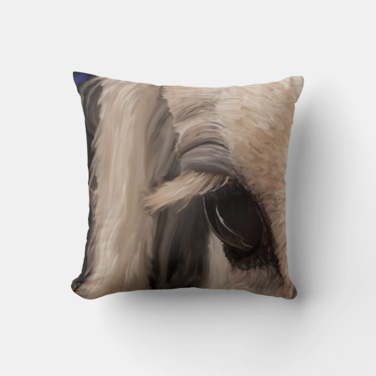 精神の窓 クッション (正面)