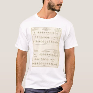 精神異常、統計的な米国の石版 Tシャツ