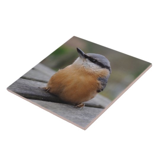 精神病院の写真 タイル (側面)