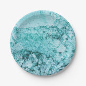 精神融合 ペーパープレート (正面)