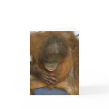 精管切除の外科冗談