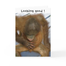 精管切除術、お疲れ様