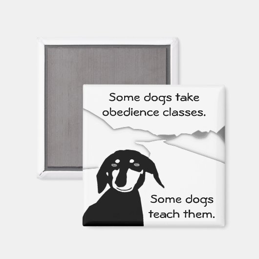 精通したソーセージの知恵 – 服従クラス マグネット (正面/裏面)