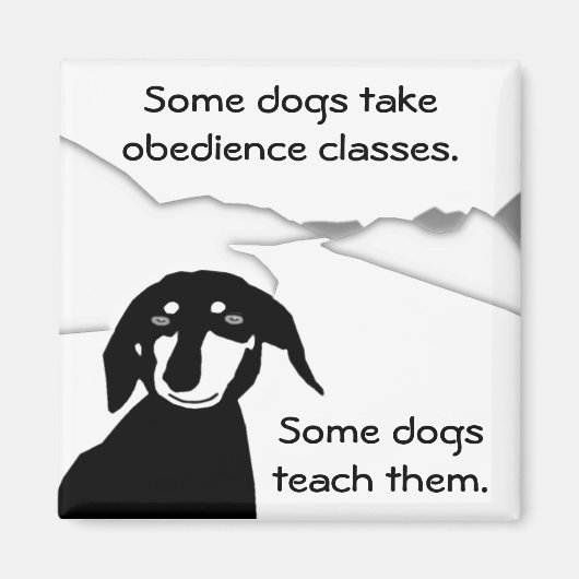 精通したソーセージの知恵 – 服従クラス マグネット (正面)