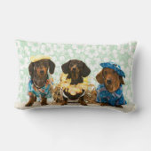 精通したダックスフント ランバークッション (裏面)