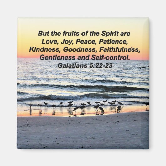 精霊かわいらしガラテヤ5磁石の果実 マグネット (正面)