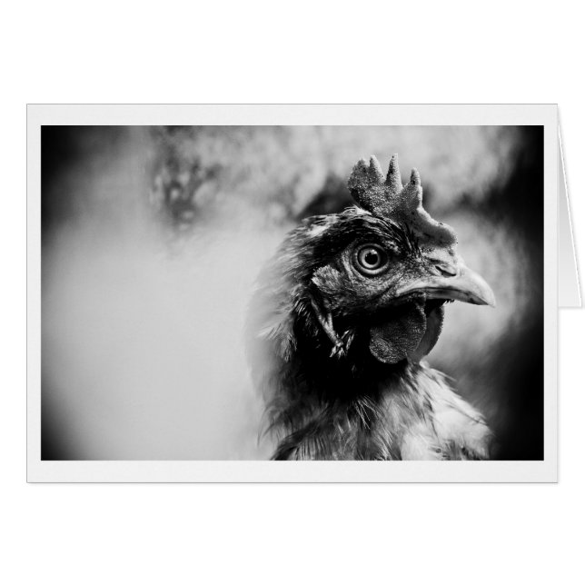 精霊と鶏2 (正面横)