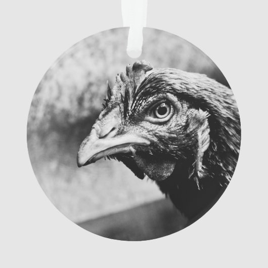 精霊と鶏 オーナメント (裏面)