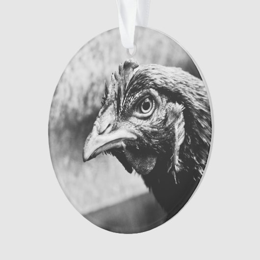 精霊と鶏 オーナメント (正面)