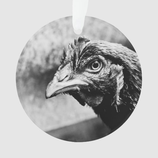 精霊と鶏 オーナメント (正面)