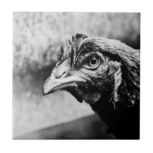 精霊と鶏 タイル (正面)