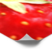 精霊の実 ポスター (角)