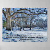 精霊の実 ポスター (正面)