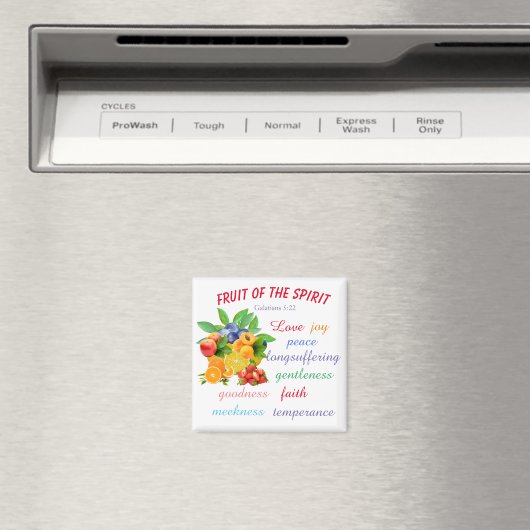 精霊の実 マグネット (インサイチュ (食洗機))