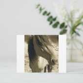 精霊 ポストカード (スタンド正面)