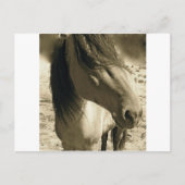 精霊 ポストカード (正面)