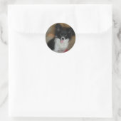 糖ベビー ラウンドシール (バッグ)