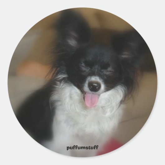 糖ベビー ラウンドシール (正面)