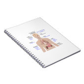 糖尿病の症状 ノートブック (右側)