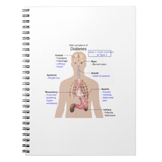 糖尿病の症状 ノートブック (正面)