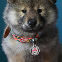 糖尿病ペット医療アラート オーダーメイド ネーム グレー ブラック ペット　ネームタグ