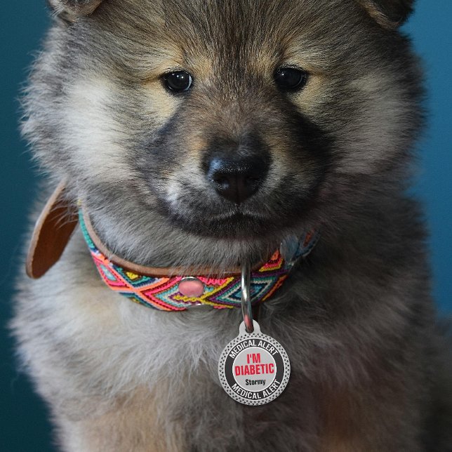 糖尿病性ペットメディカルアラート名前をカスタムするグレーブラック ペット　ネームタグ (クリエイターアップロード済み)