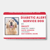 糖尿病警パーソナライズされた告サービスの犬の写真ID バッジ (Front)