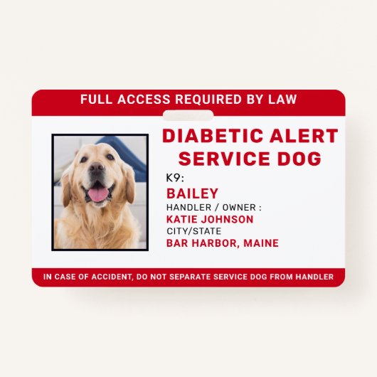 糖尿病警パーソナライズされた告サービスの犬の写真ID バッジ (正面)