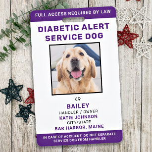 糖尿病警告サービスの犬IDのパーソナライズされた写真 バッジ