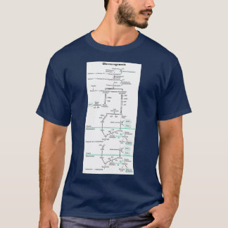 糖新生生化学的経路 Tシャツ