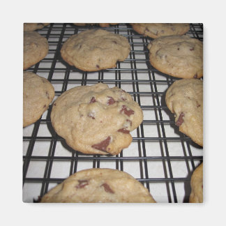 糖磁石 マグネット