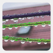 糸に雨粒を付ける スクエアシール (正面)