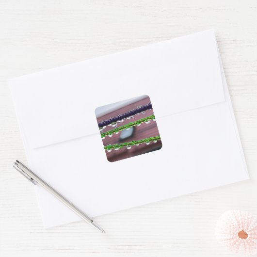 糸に雨粒を付ける スクエアシール (封筒)