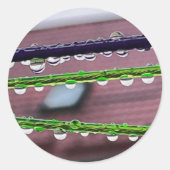 糸に雨粒を付ける ラウンドシール (正面)