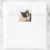 糸の玉に子猫を乗せて スクエアシール (バッグ)