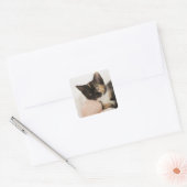 糸の玉に子猫を乗せて スクエアシール (封筒)