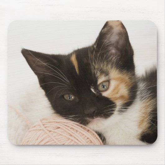 糸の玉に子猫を乗せて マウスパッド (正面)