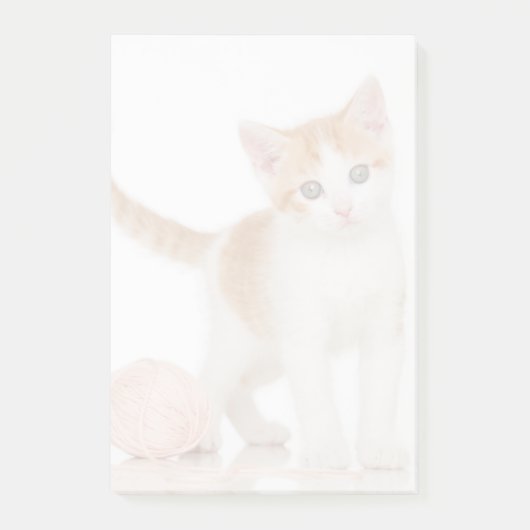 糸玉の隣の子猫 ポストイット (正面)