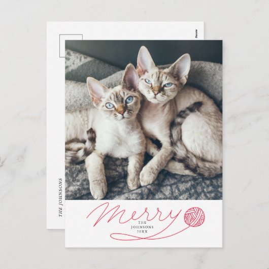 糸玉猫メリー写真入りのかわいい赤い台本 シーズンポストカード (正面/裏面)