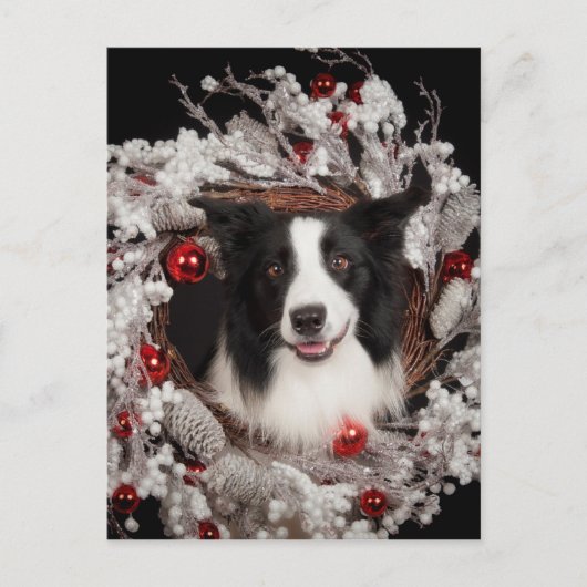 紀元前のクリスマス シーズンポストカード (正面)