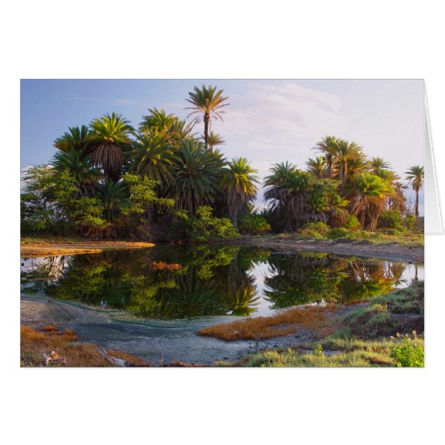 紀元前の1,000,000年 (正面横)