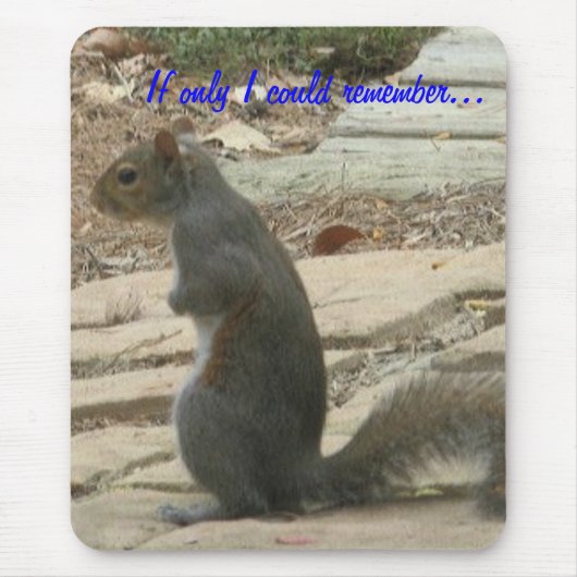 紀元前リスのマウスパッド マウスパッド (正面)